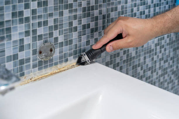 Home Mold Removal in Cove Creek, NC